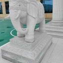 泰州 白麻花岗岩动物异形石雕-大象