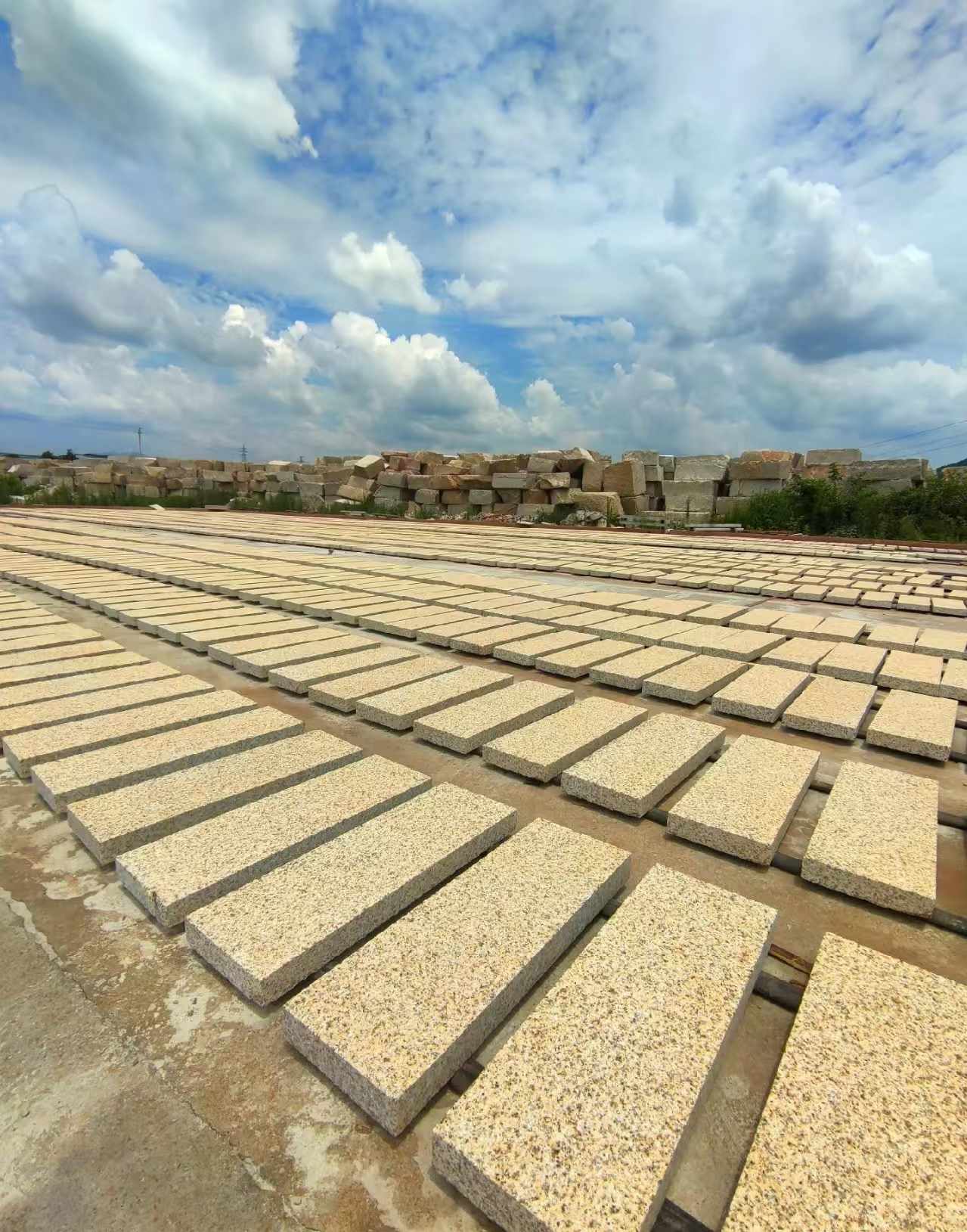 泰州 黄金麻荔枝面花岗岩石材地铺石防护中