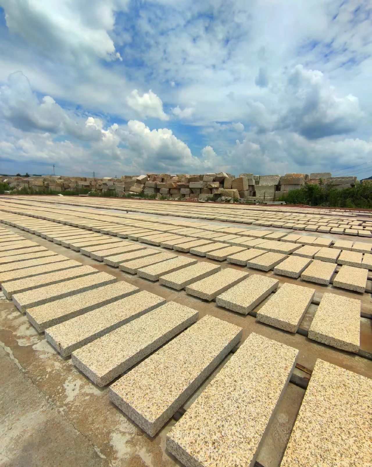 泰州 黄金麻花岗岩荔枝面地铺石防护中